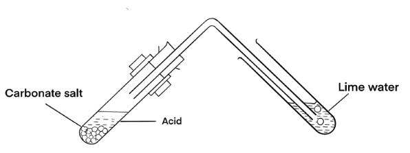 The diagram of action of dilute acid on metal carbonate